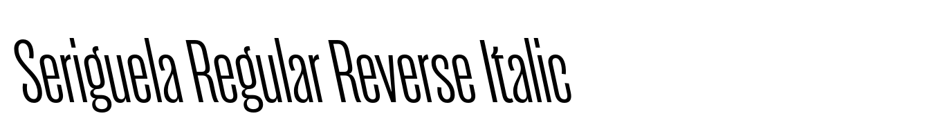 Seriguela Regular Reverse Italic